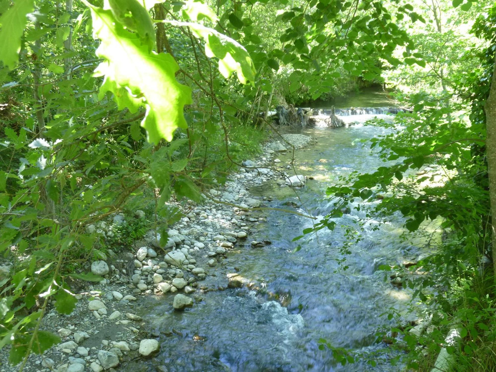 Camping Notre Dame Castellane Dış mekan fotoğraf