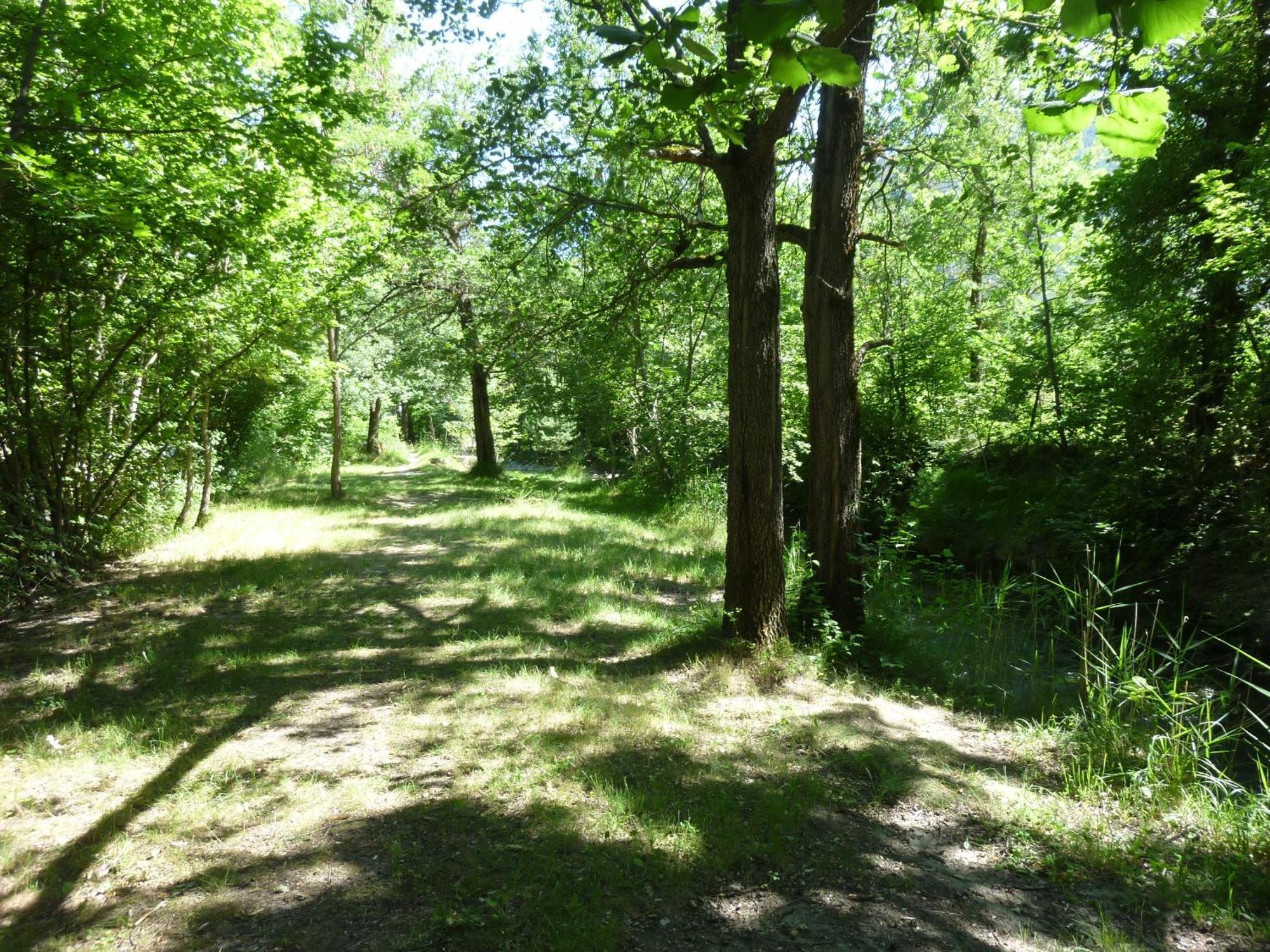 Camping Notre Dame Castellane Dış mekan fotoğraf
